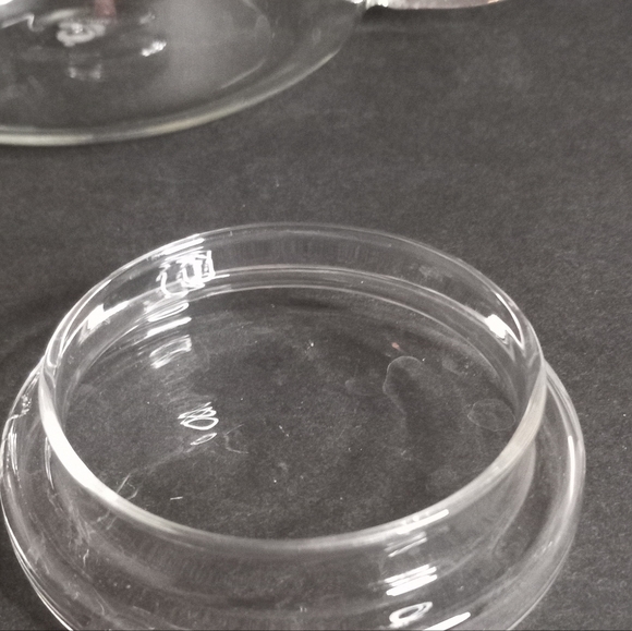 TEAVANA CLEAR GLASS TEAPOT W/INFUSER AND LID - Picture 2 of 9